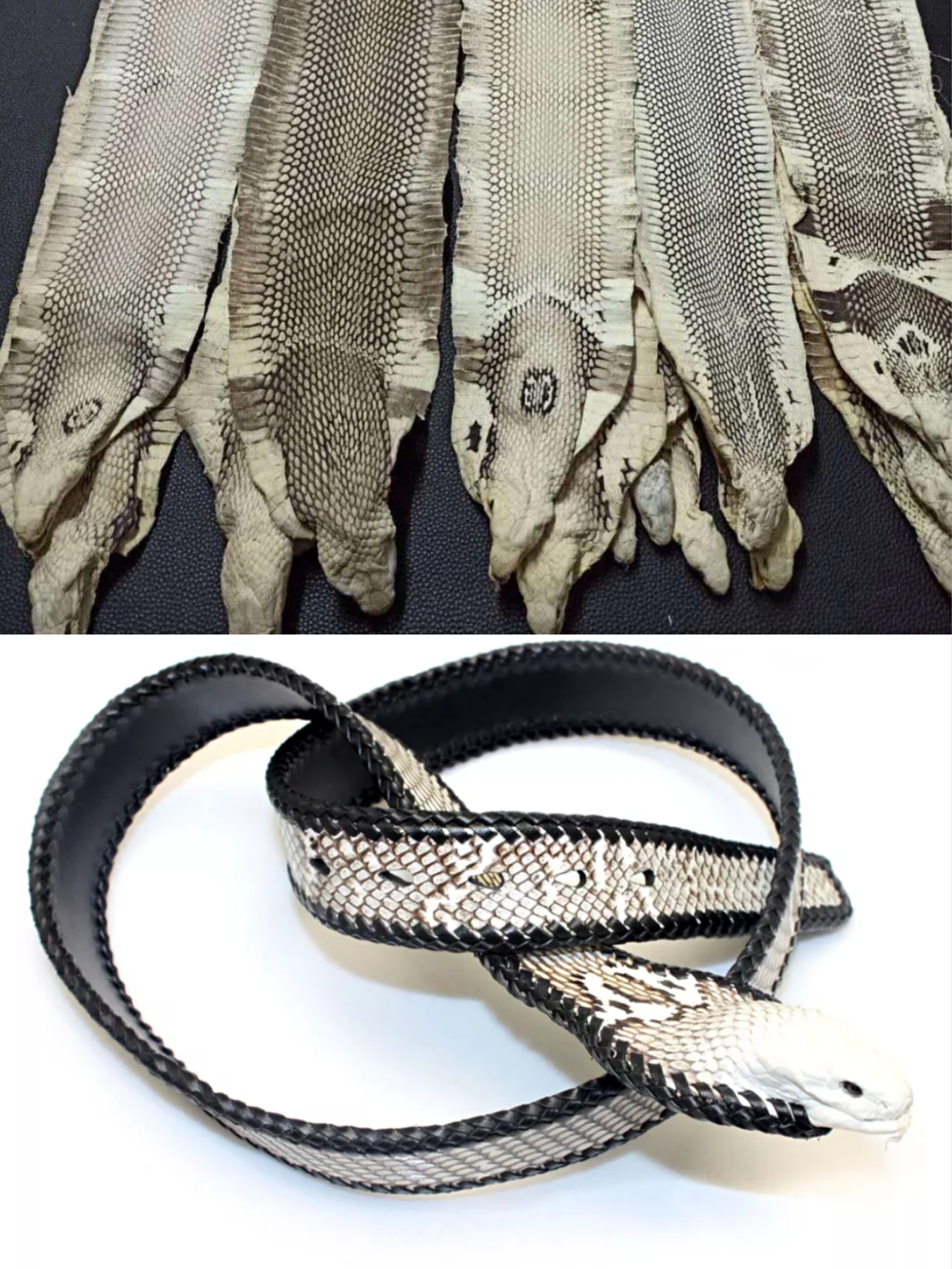 人造革是什么样子的（超全面珍稀皮革博览：33种罕见皮革材料图文集合）