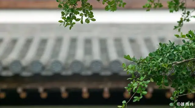 前世情缘今朝续，因果轮回待来生——揭秘命运交织的经典语录