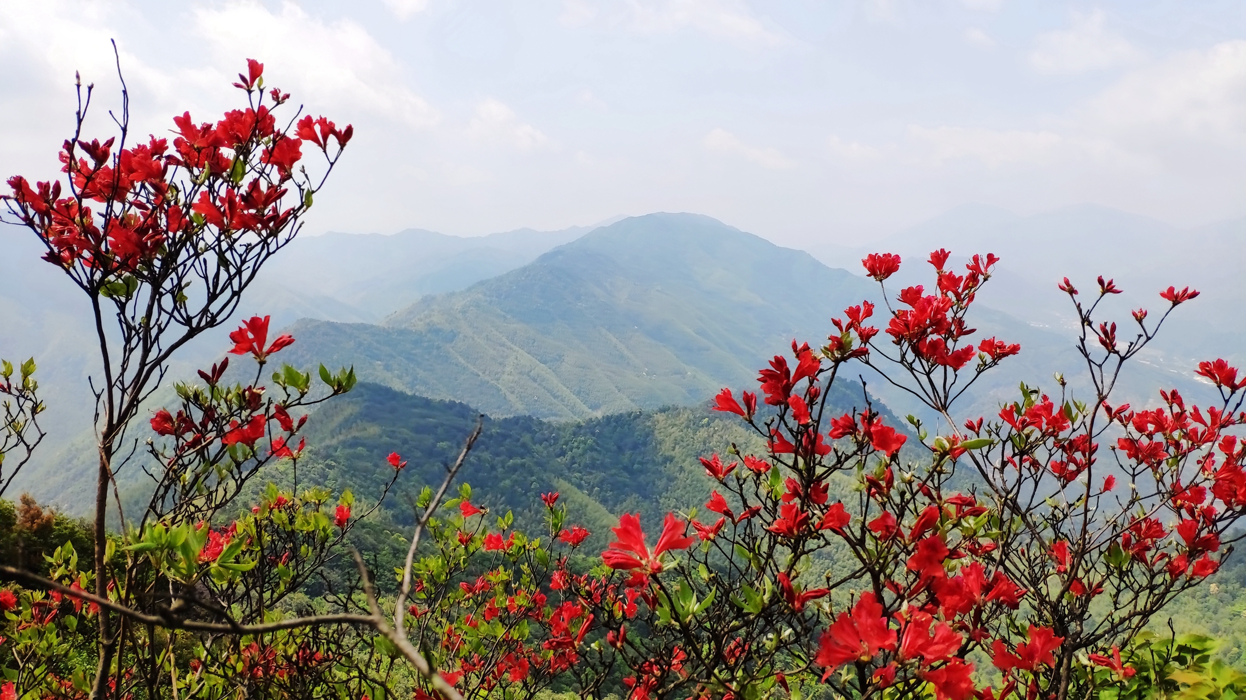 兰溪自驾游哪里好(离城市最近的国家森林公园！崇义阳明山是一个自驾游的好地方)