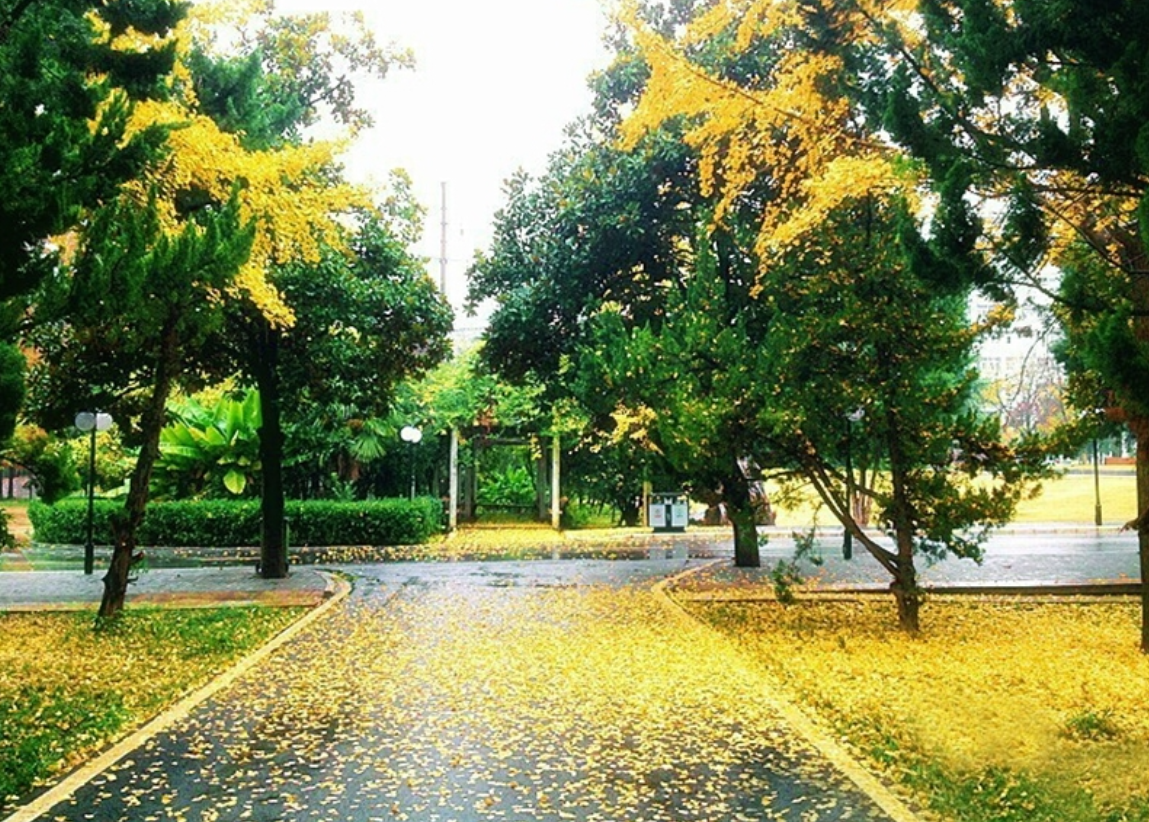 高校春色——滁州学院