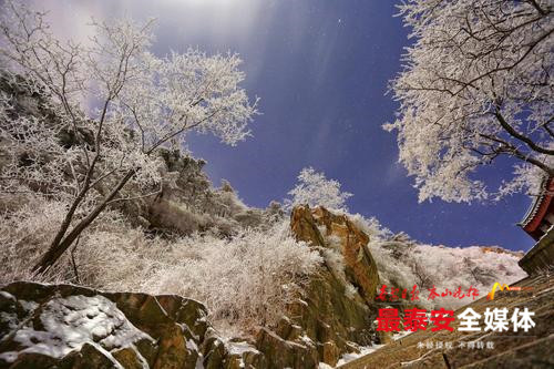 红墙白雪，玉树琼枝：大美泰山，就在这里！高清美图+劲爆视频带你看！