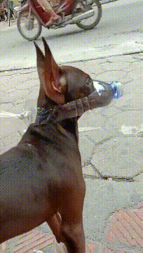 “假如你被关进精神病院，请用一句话证明自己不是”！神评太逗了