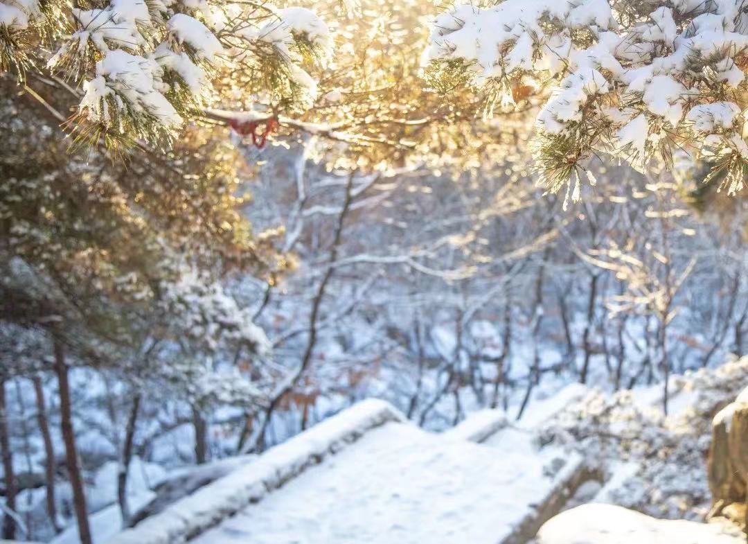 山东7市迎暴雪~雪后十大景点美爆，快来看