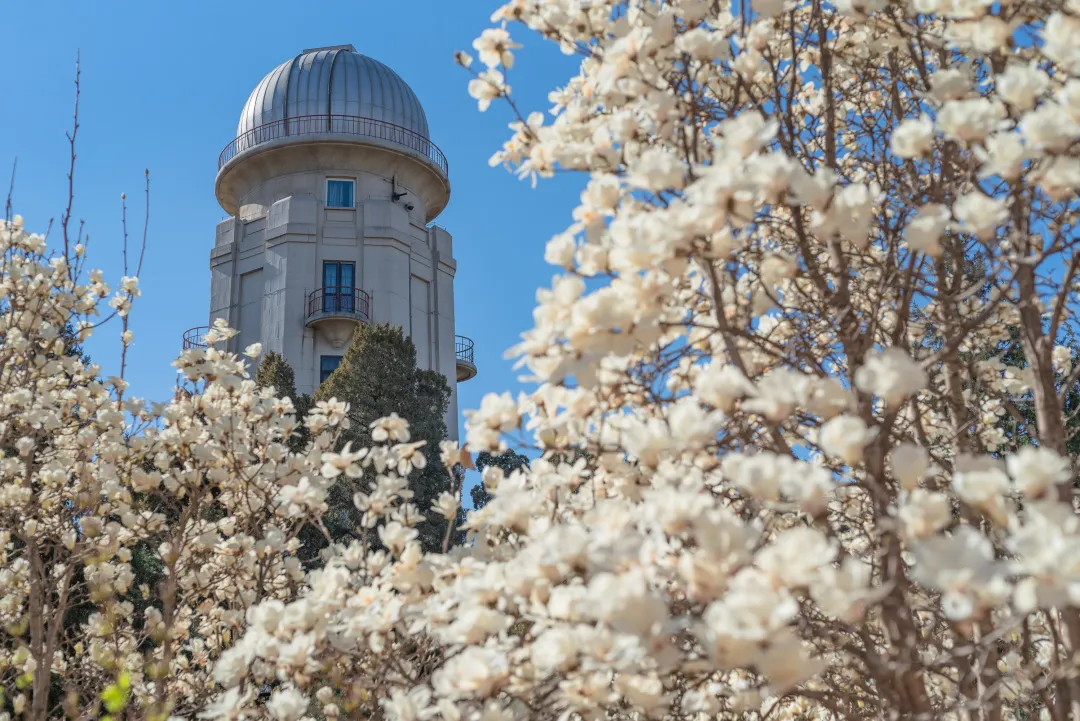 艺考资讯 | 九大美院的校园景色battle，也是神仙打架