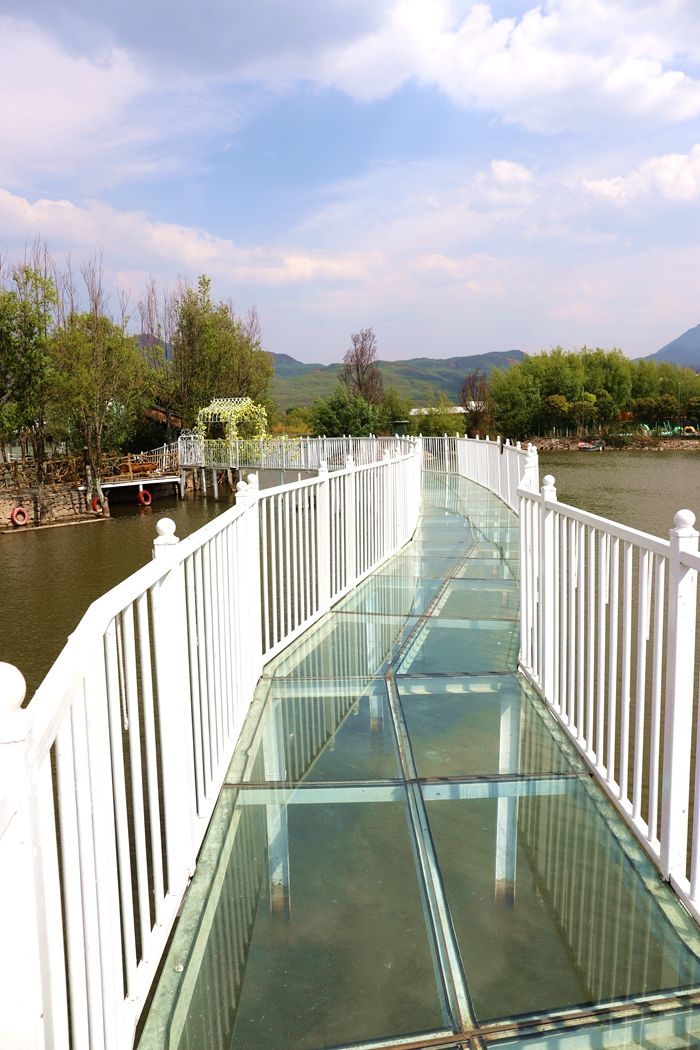 丽江拉市海，骑马走茶马古道，赏鸟走观湖长廊