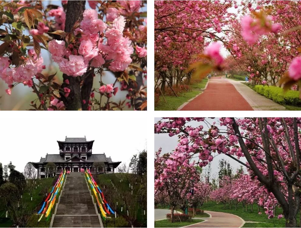 成都最值得打卡的公园_成都周边花海 - 密云旅游