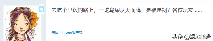 鸟屎掉身上到底是福是祸，条友们怎么看？