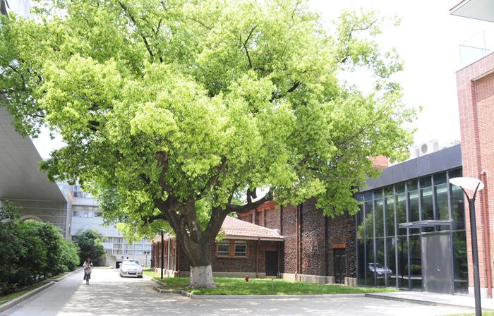 这两所211大学，580—610分左右录取！地理位置优越，很值得报考