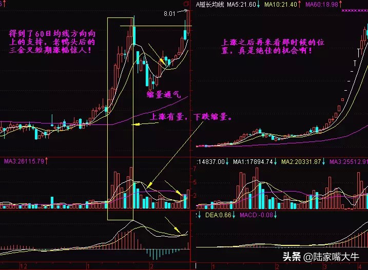 60日均线（生命线），一辈子使用的"万能均线"，看懂躺进富豪区