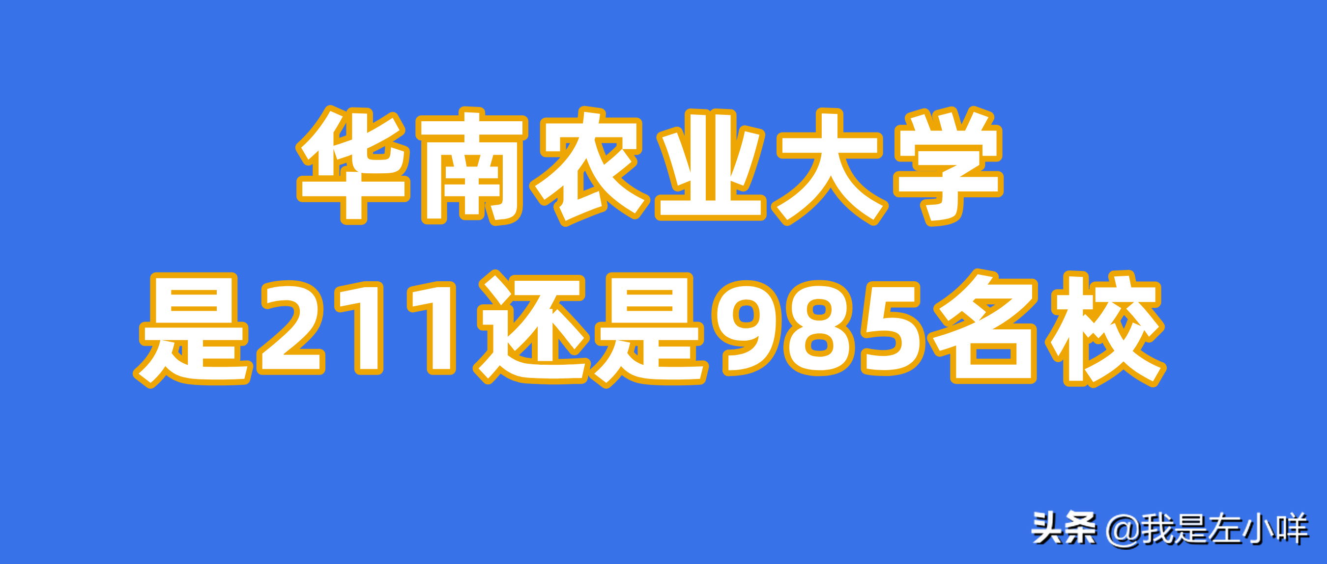 华南农业大学会计专硕（华南农业大学是211还是985）
