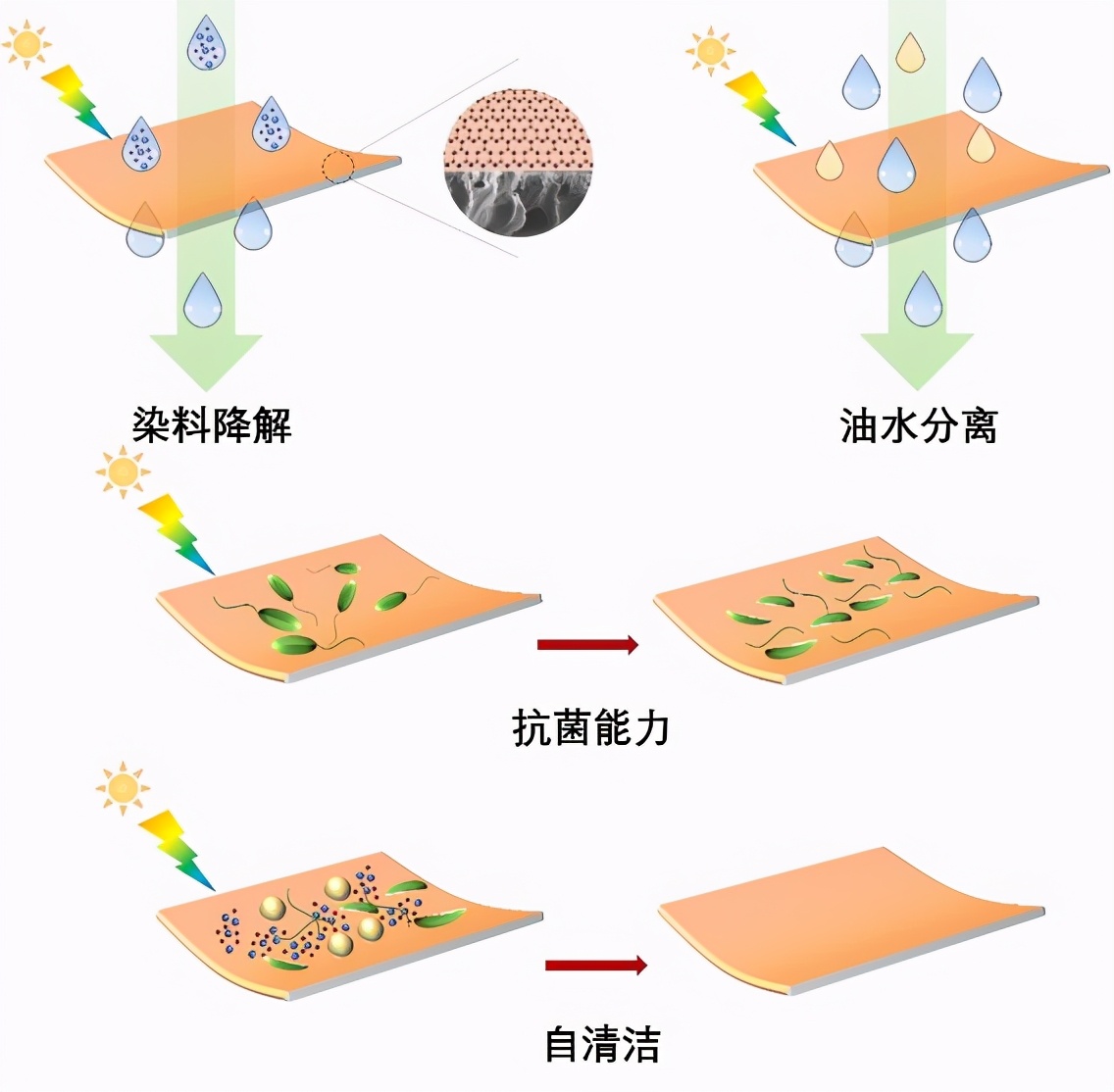 摘金夺银！最近，四川这群人狂揽近百项国奖，还登顶全国第一！