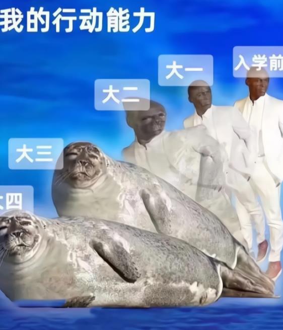 毕业生用梗图吐槽大学生活，堪比一部“退化史”，是我本人没错了