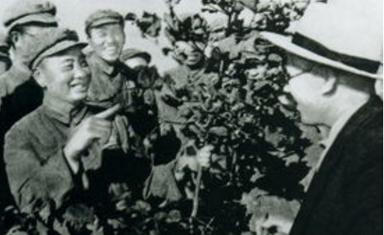新疆棉花保持26年第一，离不开王震将军，更要感谢这20万大军