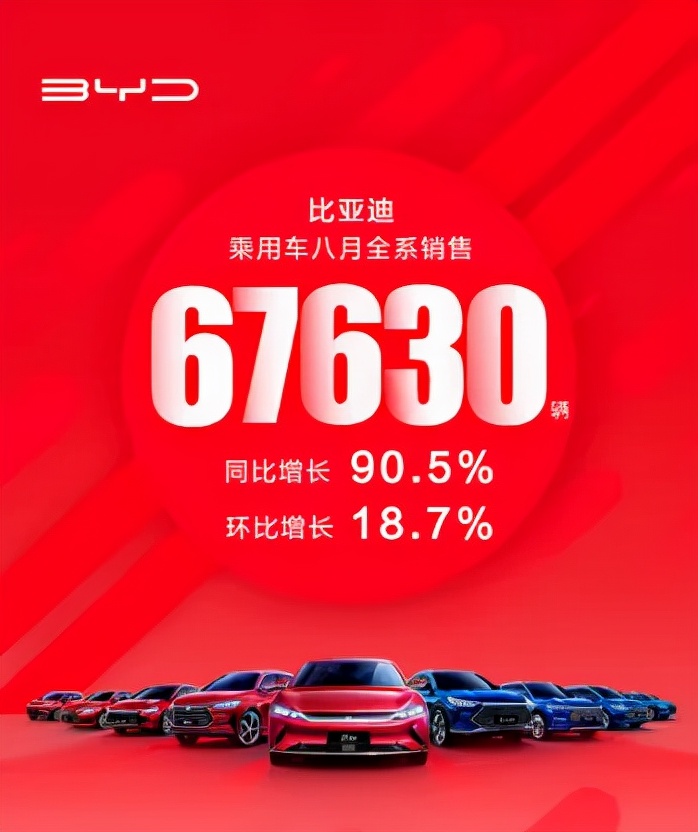 翻遍了223页的半年报，我发现了比亚迪高涨的原因