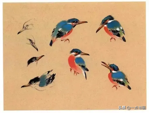 一学就会画——小写意禽鸟画法
