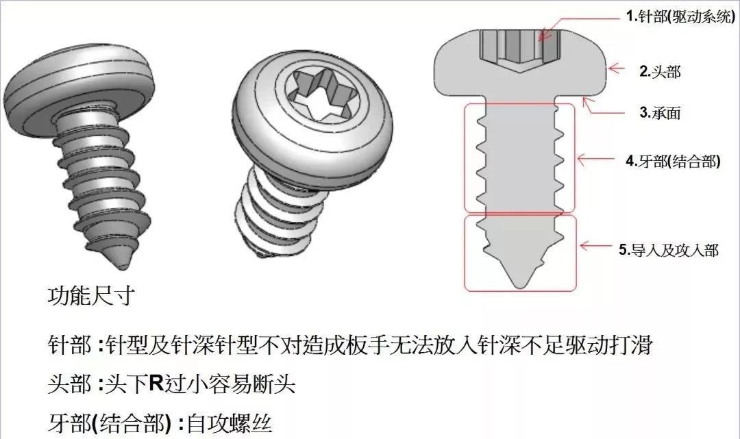 螺栓部位名称图片