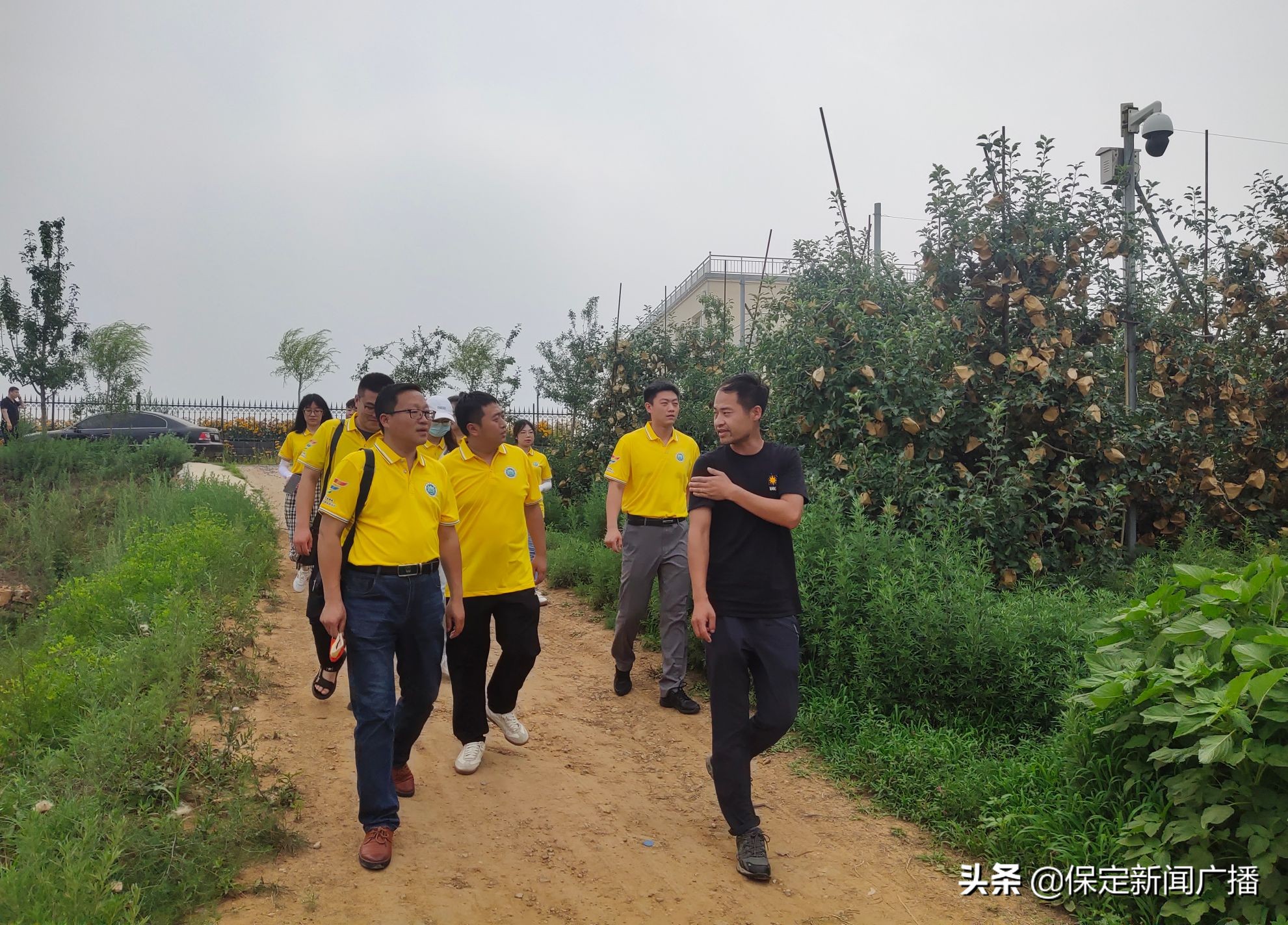 河北农大经管学院师生到顺平县开展暑期社会实践活动