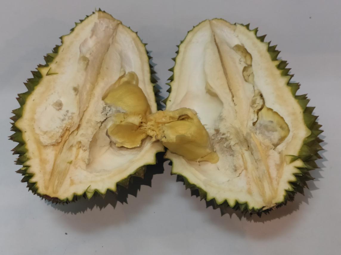 一次屯够一周的食材 美的小户型/大容量冰箱体验评测