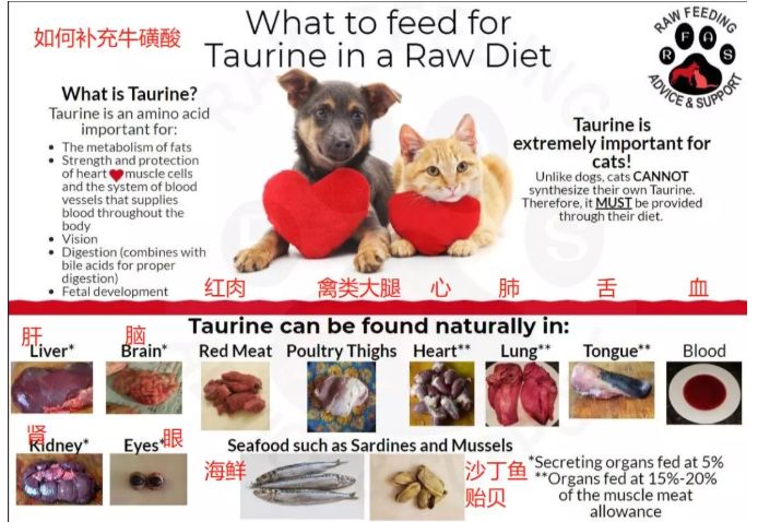 美国品牌玫斯喷生骨肉是骗局，你不写工厂隐藏河北粮才是骗局