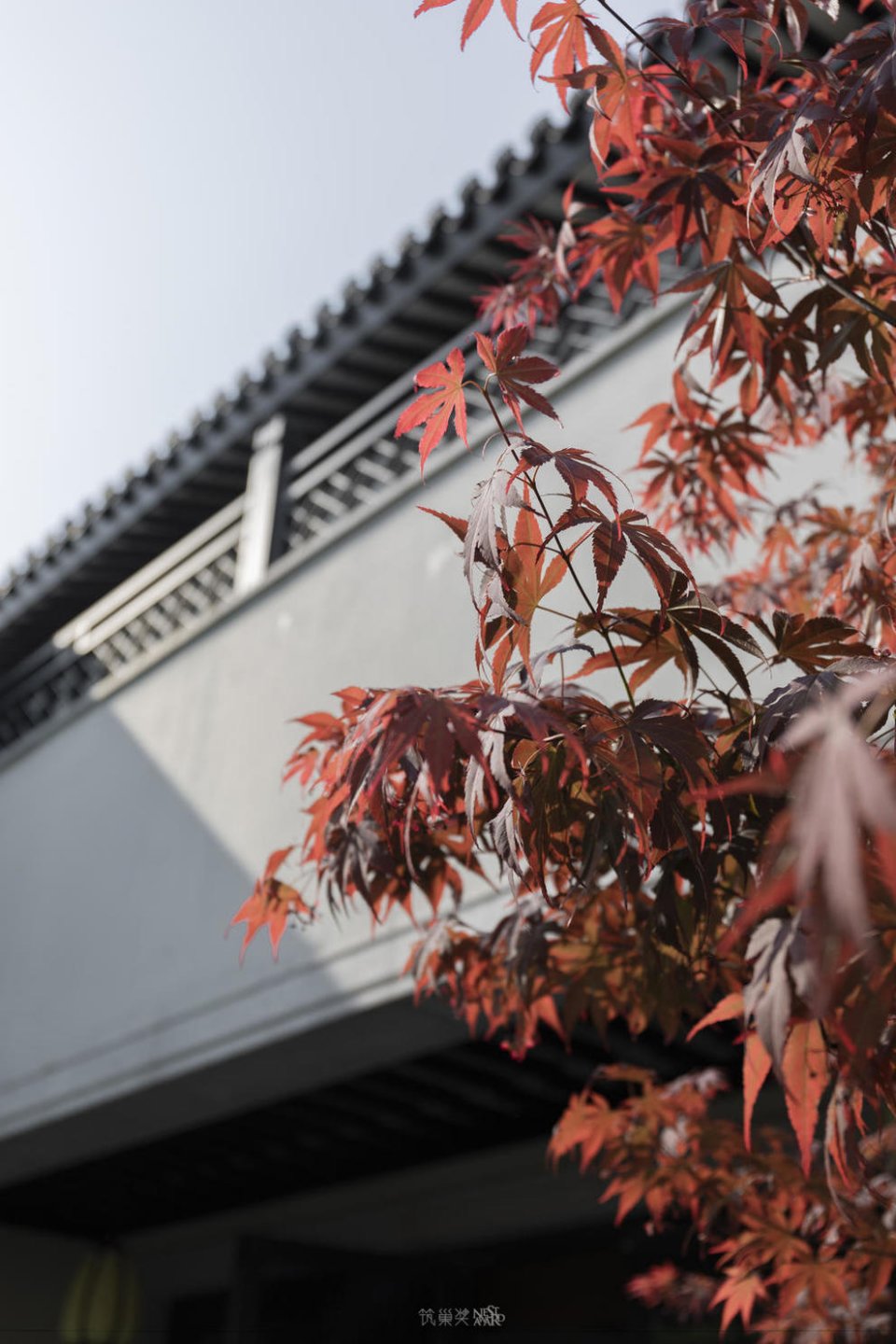 800㎡乌镇院士之家，江南园林古色古香的生活