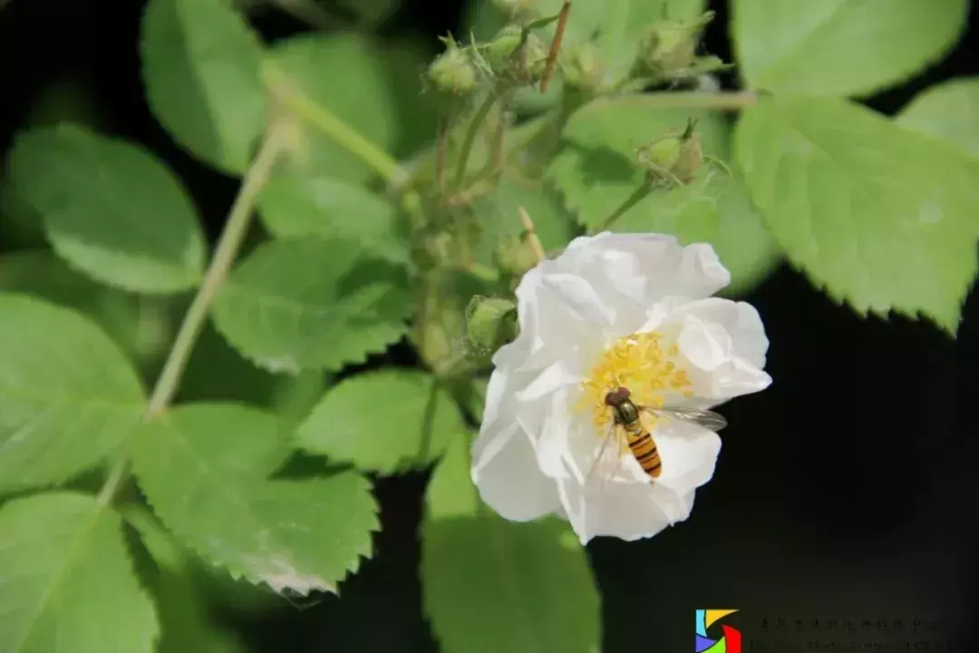“硬核港湾”：细数青岛港湾职院的高光时刻，错过等一年