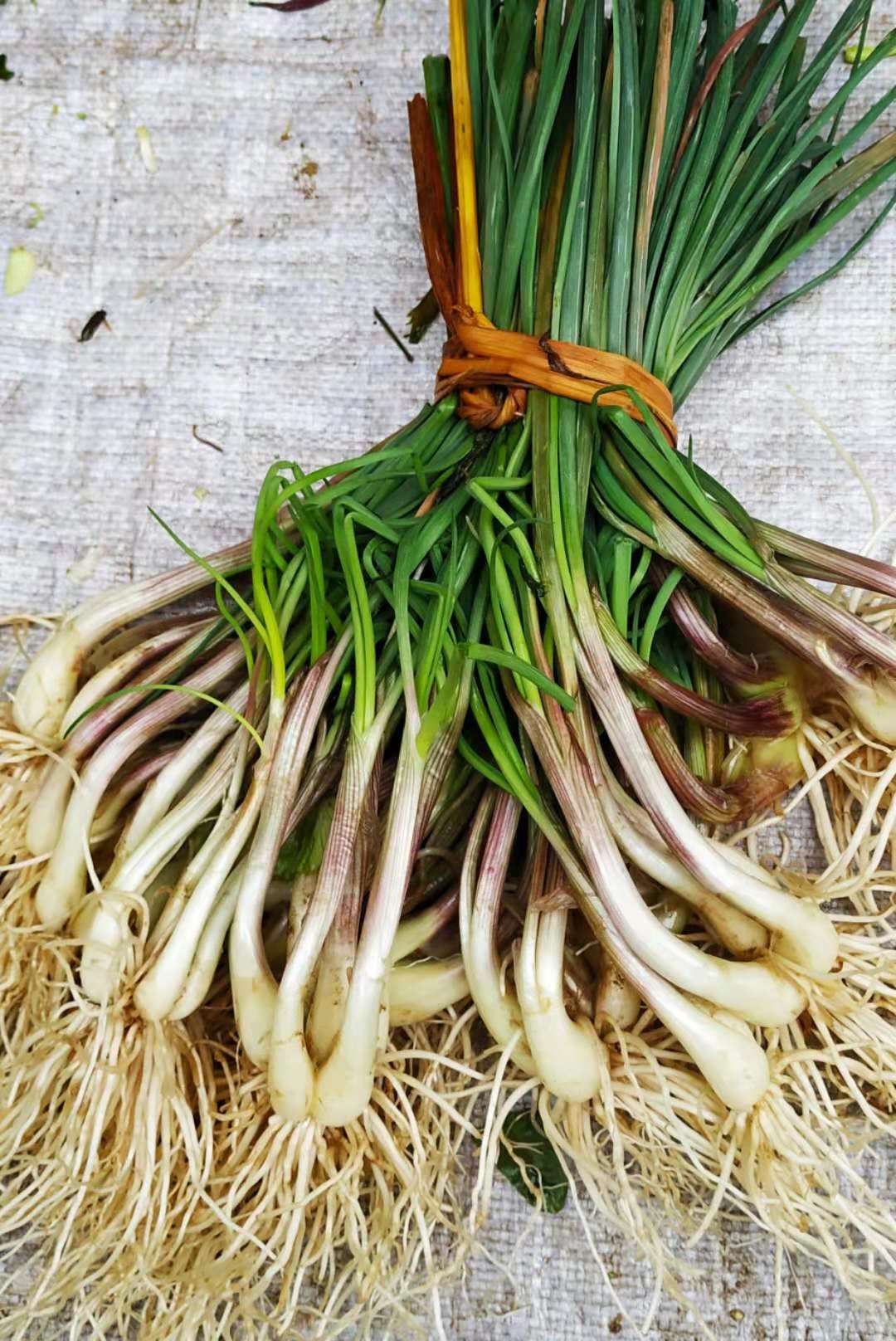 2,读音, qǔ鲜嫩的苣荬菜见"莴苣".