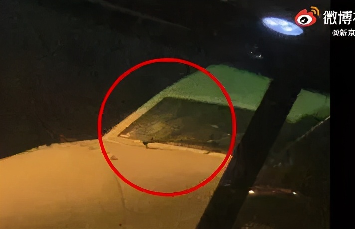 这些不知道，这周没得聊