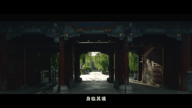 北京大学2020年招生宣传片发布！就在《你的大学，绽放》！