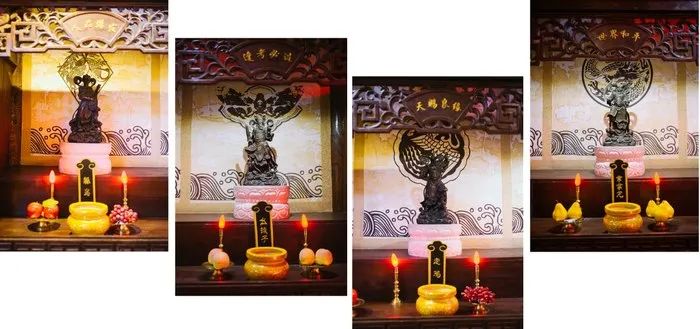 萌化少女心！驾高尔夫享受冬日暖阳