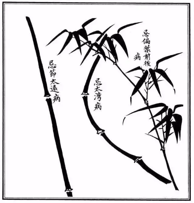 不会画竹子?教你最常见竹子画法,简单易学,快收藏起来临摹学习