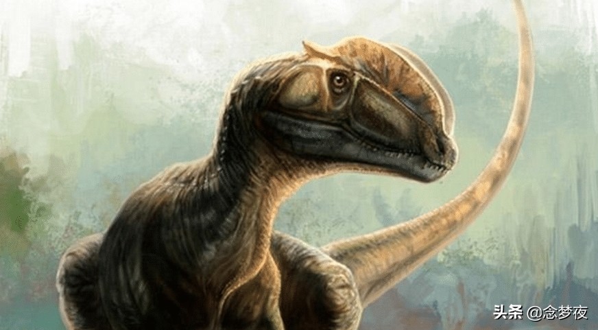 如果没有天灾，恐龙有可能进化成“恐人”, 成为这个世界的主宰吗