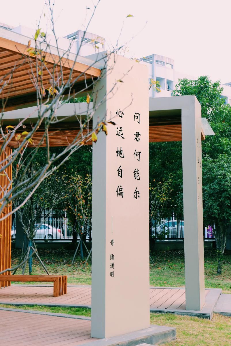 杨雨、郦波多位名家教授点赞，中南大学问渠晨读长廊等你pick！