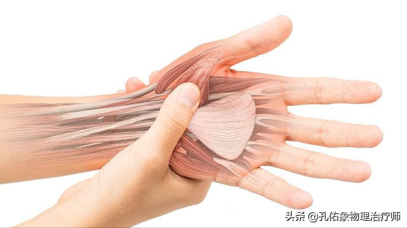 50岁左右的中老年人，手指僵硬、疼痛、怕冷、变形，预示哪些疾病