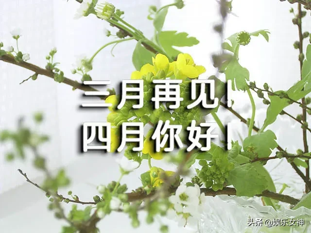 新的一月微信早安祝福温馨语录 2020新版早上好问候语