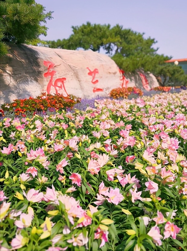 水世界杯建湖(浅谈全国34个省级区域之华东篇：江苏省—盐城市)