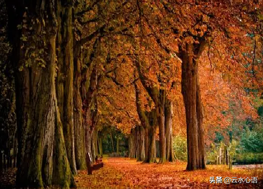 两首清丽俊秀的写景小诗，情隐景中，结尾却意在言外