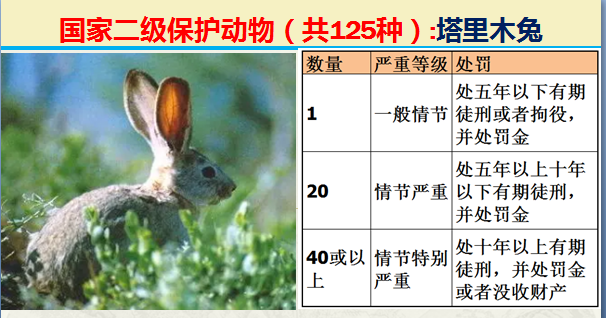 国家保护动物分几个等级（125类二级野生保护名录）