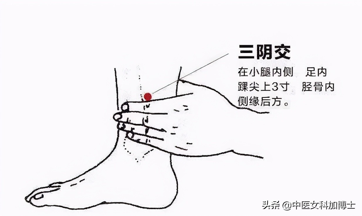 三,不想老放屁?补脾养肝是关键