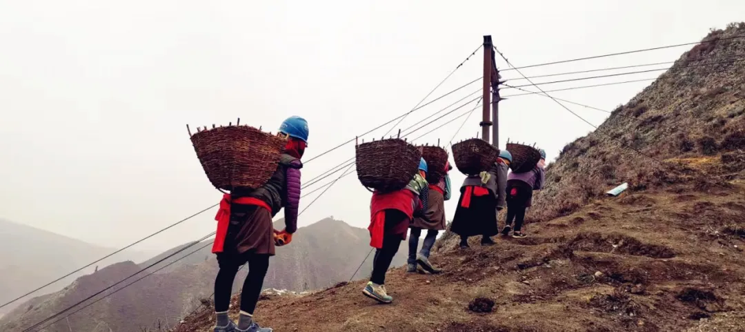 2020高考作文押题（内附最新素材）