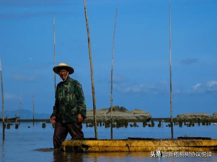 珠海的海是什么海(珠海原名“渔民”，这里出海才是第一出海口，甚至露出侏罗地质)