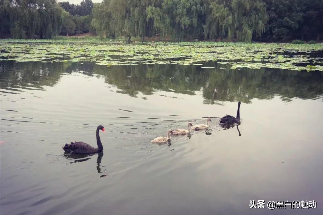 长城、胡同、故宫、鸟巢，北京那些不可错过的名胜古迹