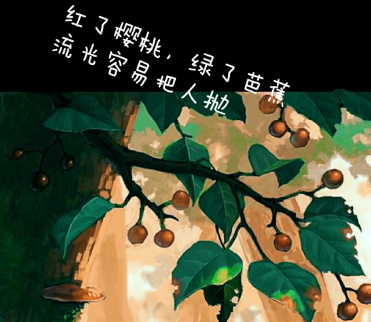 那些古诗词里的大红大绿，过了千年，依旧惊艳如同初见