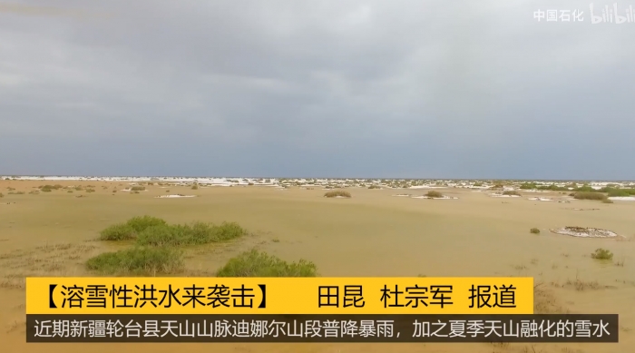 三国杀吧十大神贴：当游戏遇见历史，玩家如何在虚拟世界中体验盛唐与西周的辉煌文明