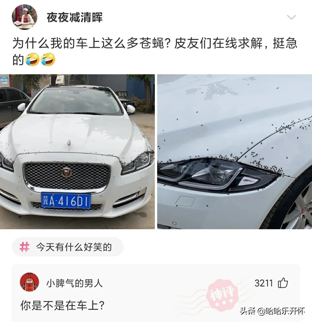 神评爆笑合集：给孩子买的礼物，他好像不太开心哈
