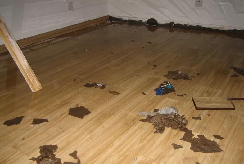 地板出现起拱，这样处理方便简单，而且还不求人