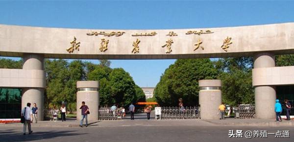 余雄，新疆农业大学教授、博导，反刍动物营养代谢、饲料研发专家