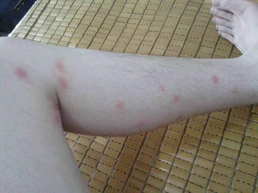 想知道女人层次的高低,看她的脚就明白了,王菲就是很好的例子