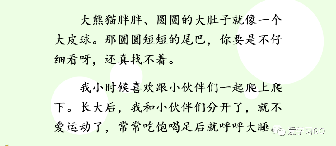 三年级大熊猫的资料完整介绍（三年级大熊猫的资料完整介绍100字）-第3张图片-昕阳网