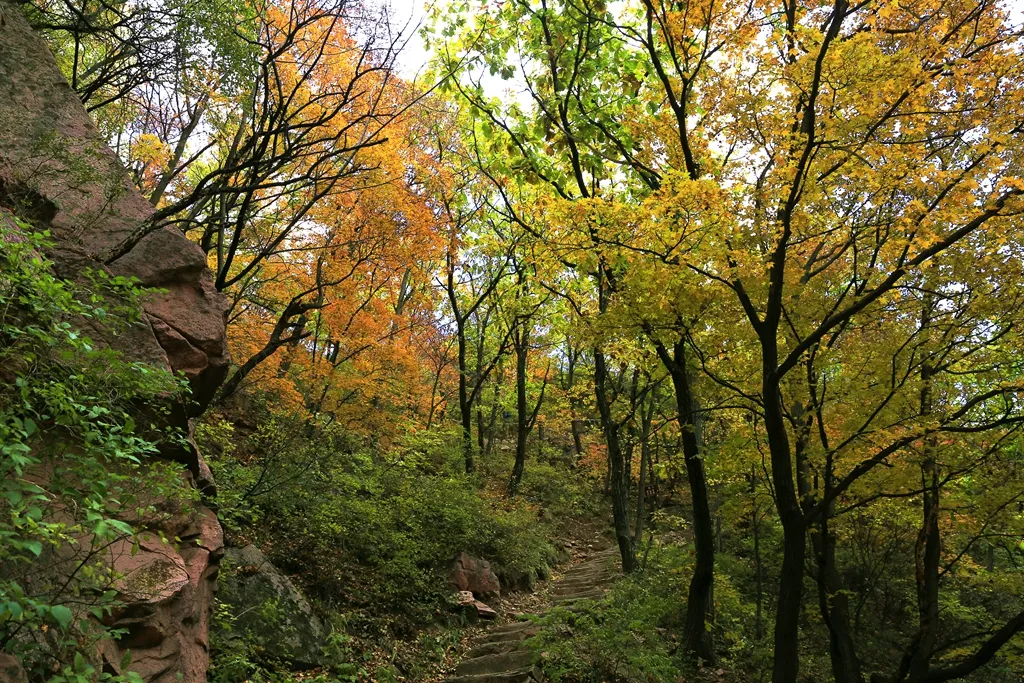 ​十月的喇叭沟彩叶漫山溪水潺潺美翻啦！