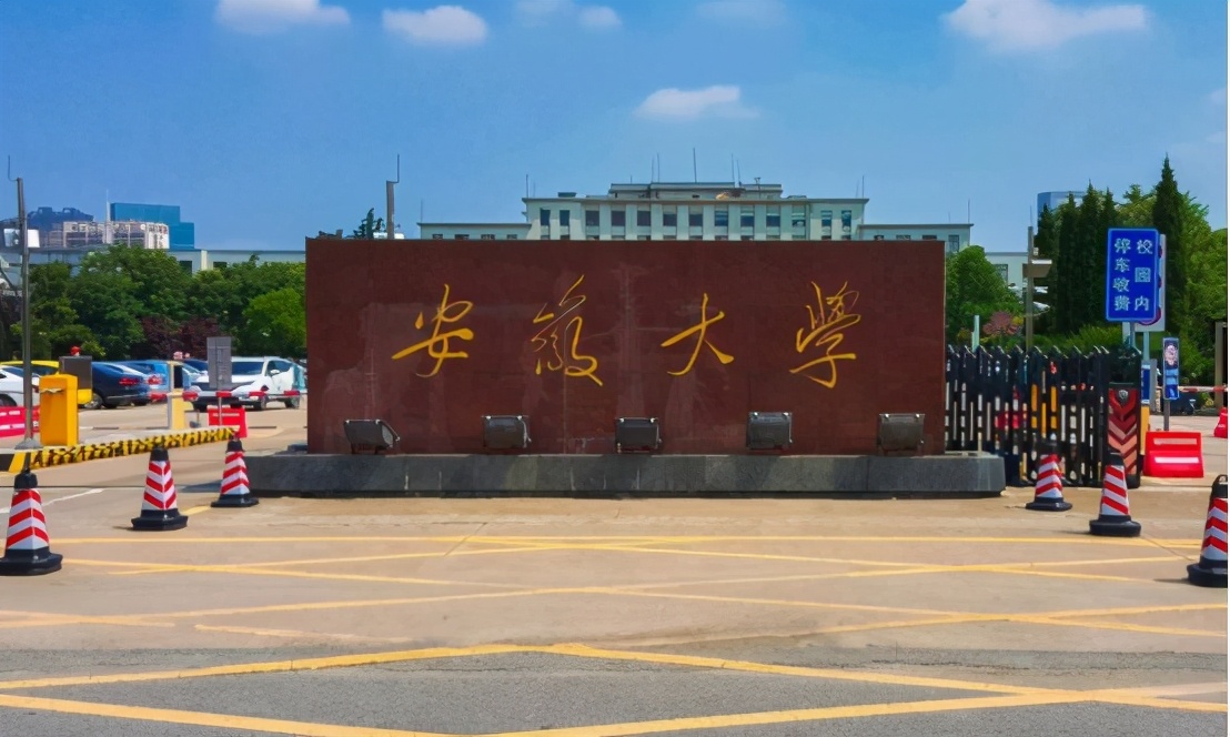 安徽有所“双一流”大学，位列“全国百强”，在本地位列“老三”